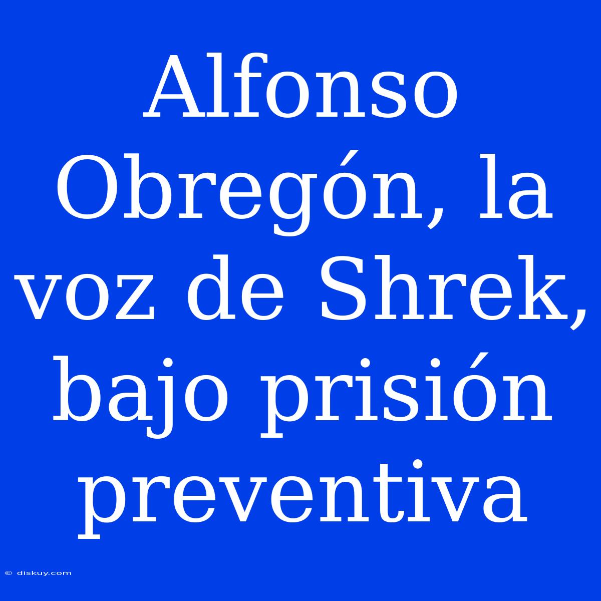 Alfonso Obregón, La Voz De Shrek, Bajo Prisión Preventiva