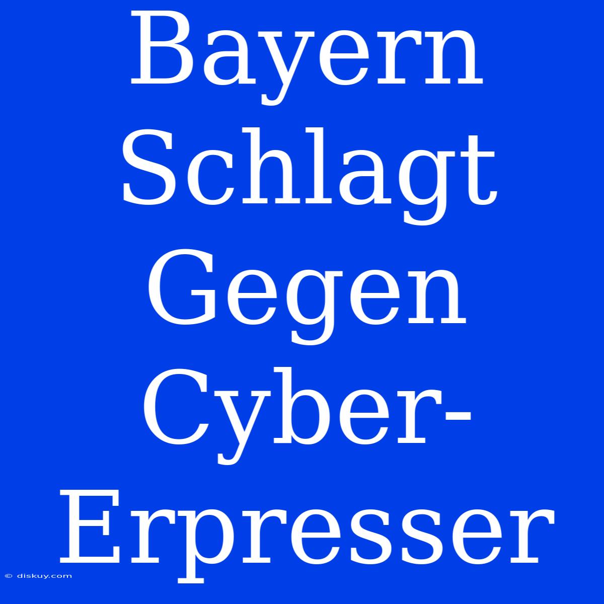 Bayern Schlagt Gegen Cyber-Erpresser