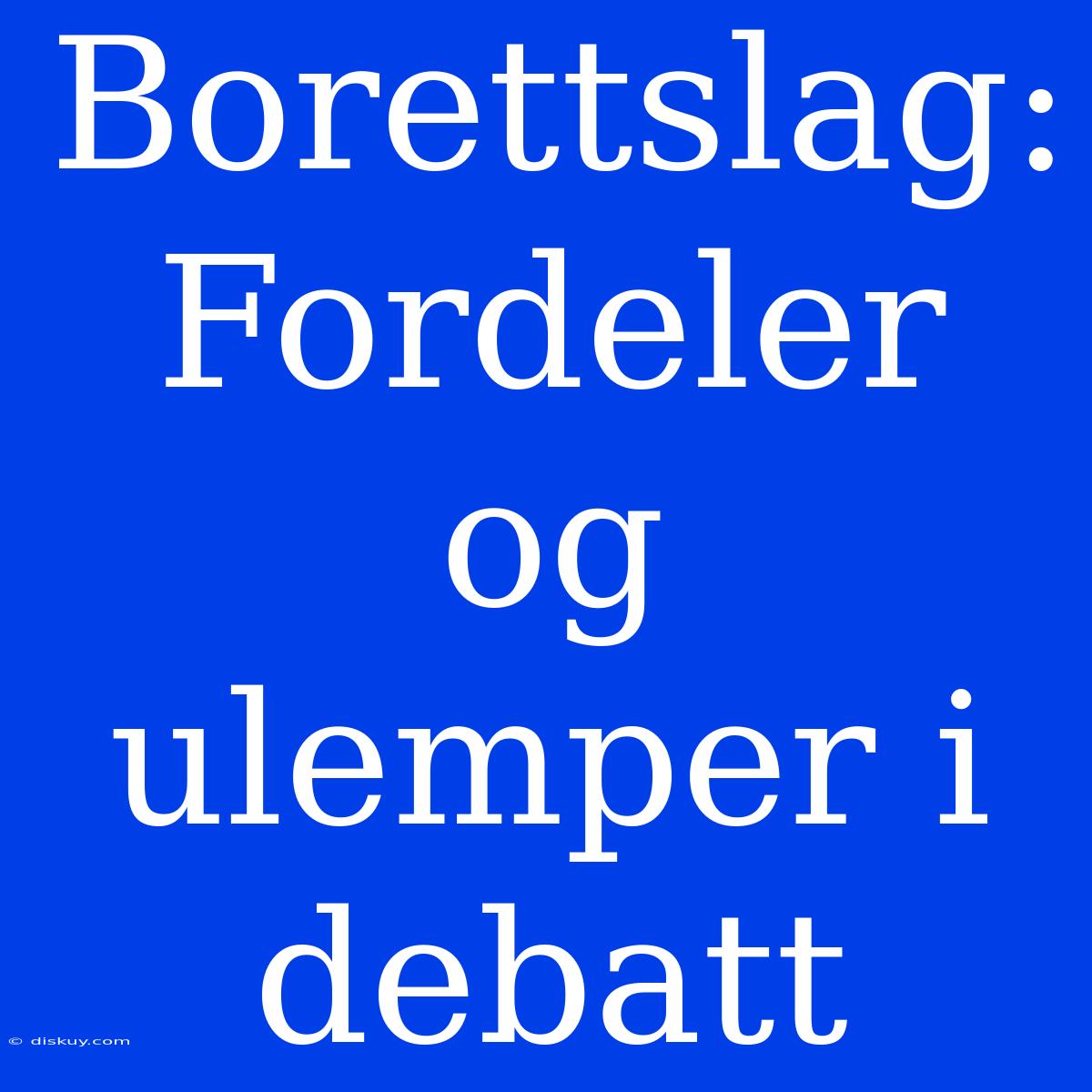 Borettslag: Fordeler Og Ulemper I Debatt