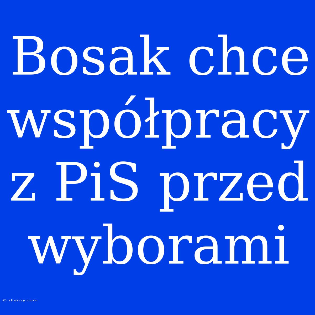 Bosak Chce Współpracy Z PiS Przed Wyborami