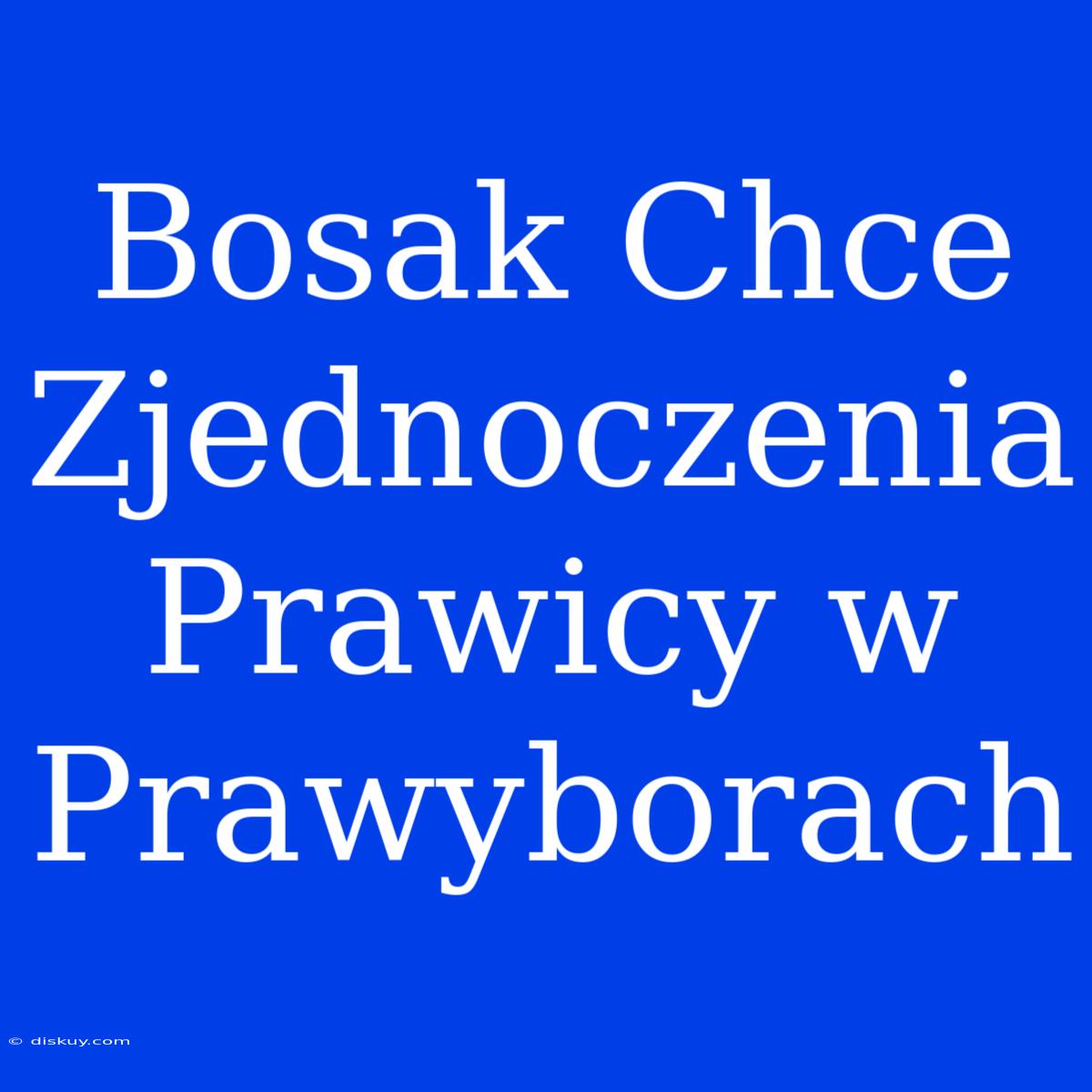 Bosak Chce Zjednoczenia Prawicy W Prawyborach