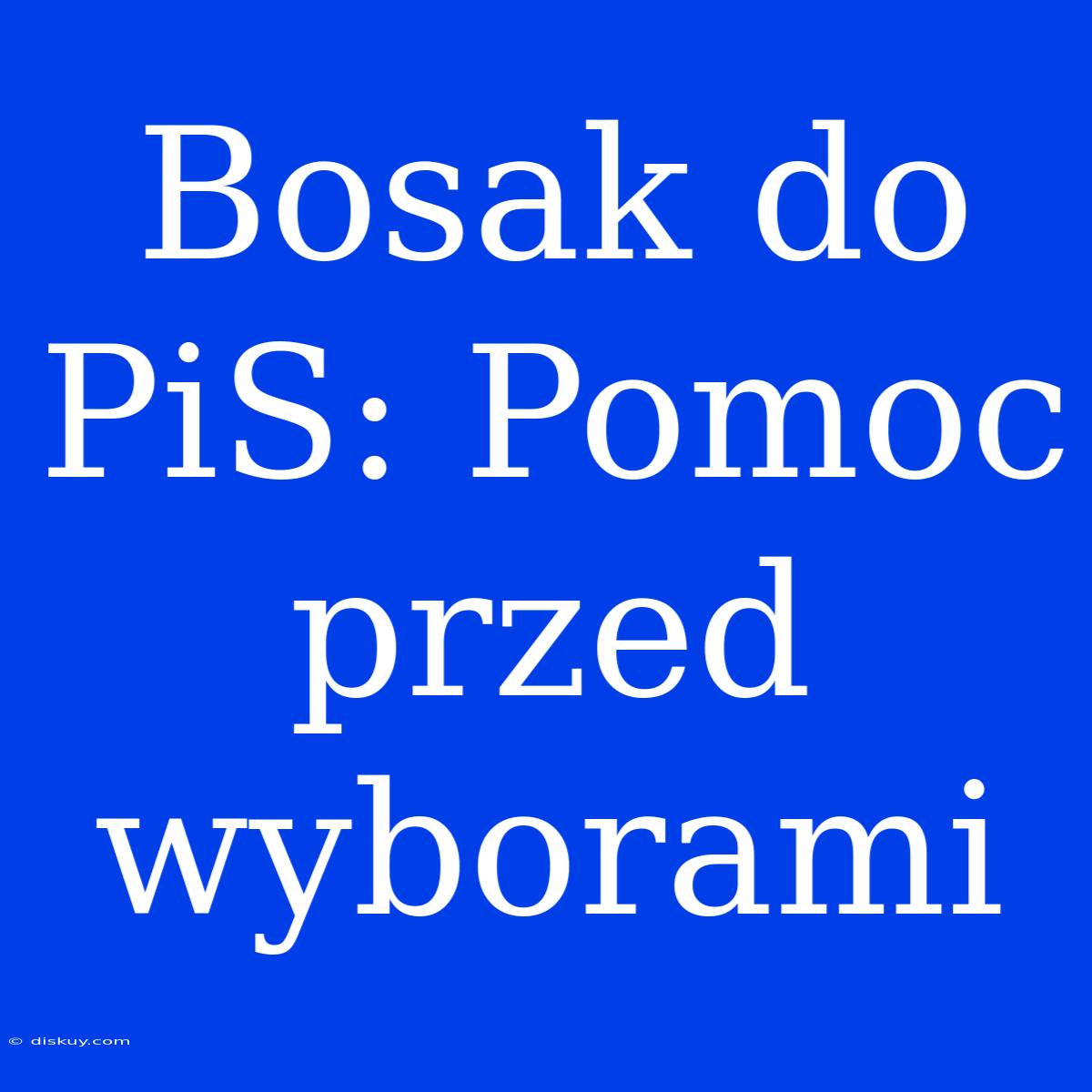 Bosak Do PiS: Pomoc Przed Wyborami