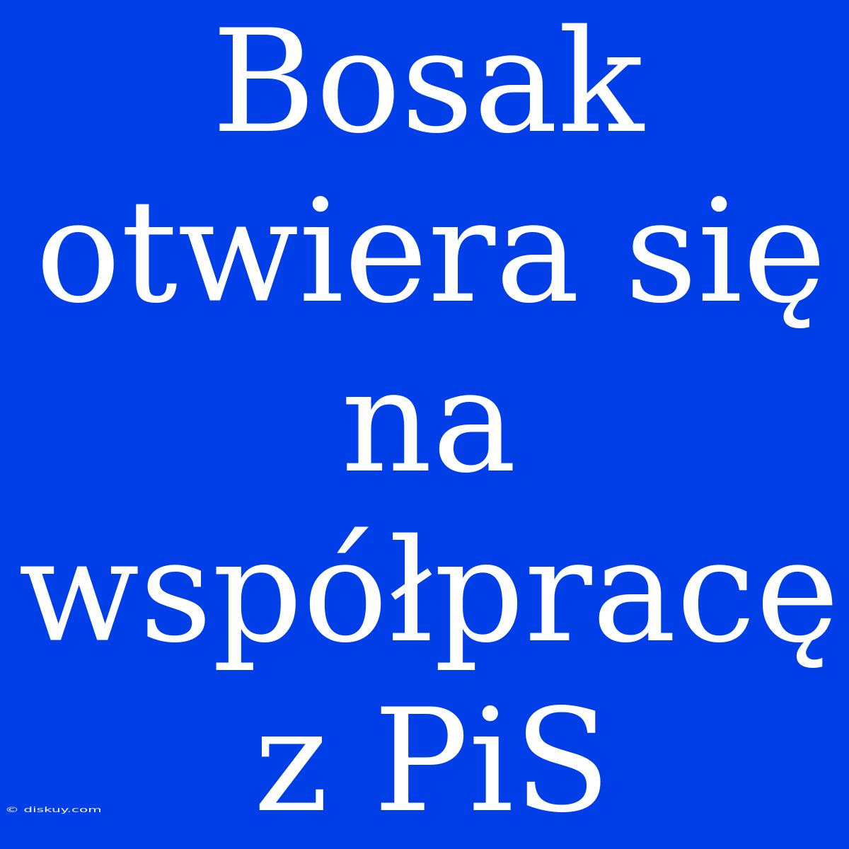 Bosak Otwiera Się Na Współpracę Z PiS