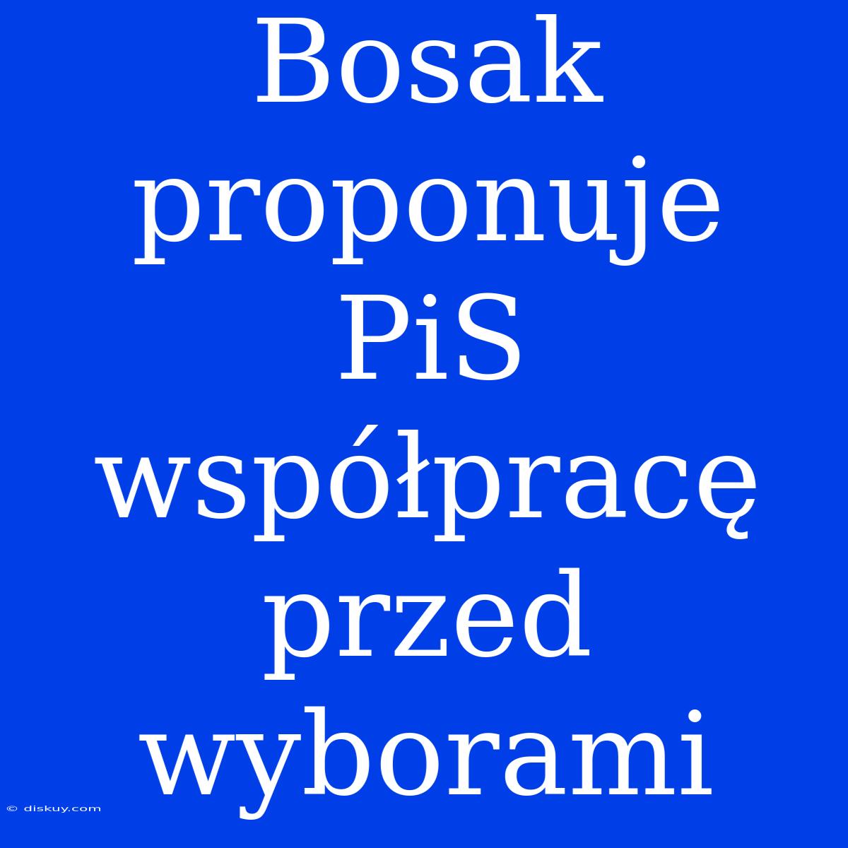 Bosak Proponuje PiS Współpracę Przed Wyborami