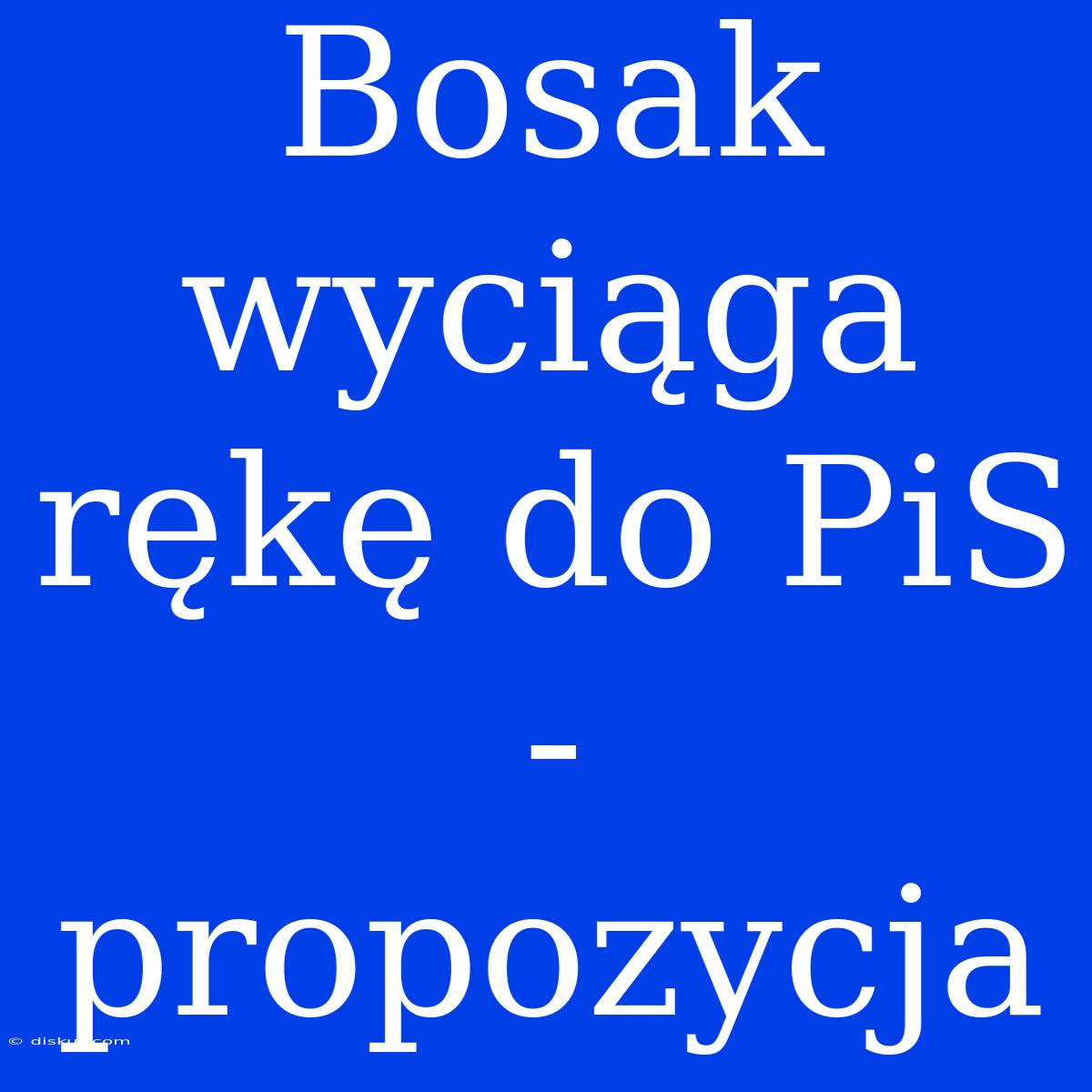 Bosak Wyciąga Rękę Do PiS - Propozycja