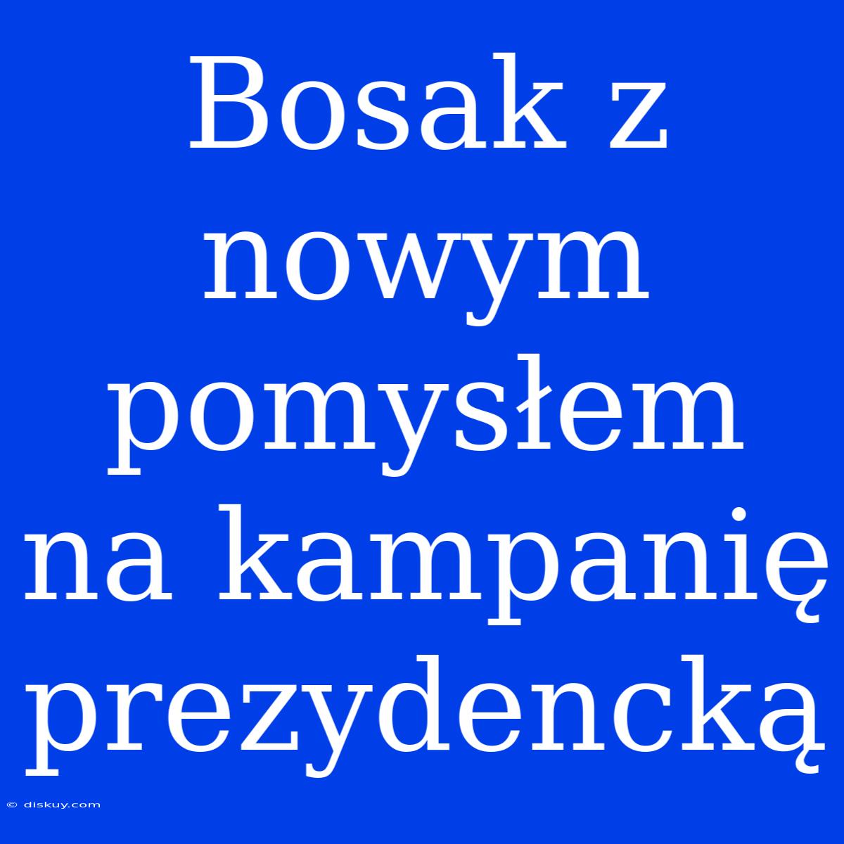 Bosak Z Nowym Pomysłem Na Kampanię Prezydencką