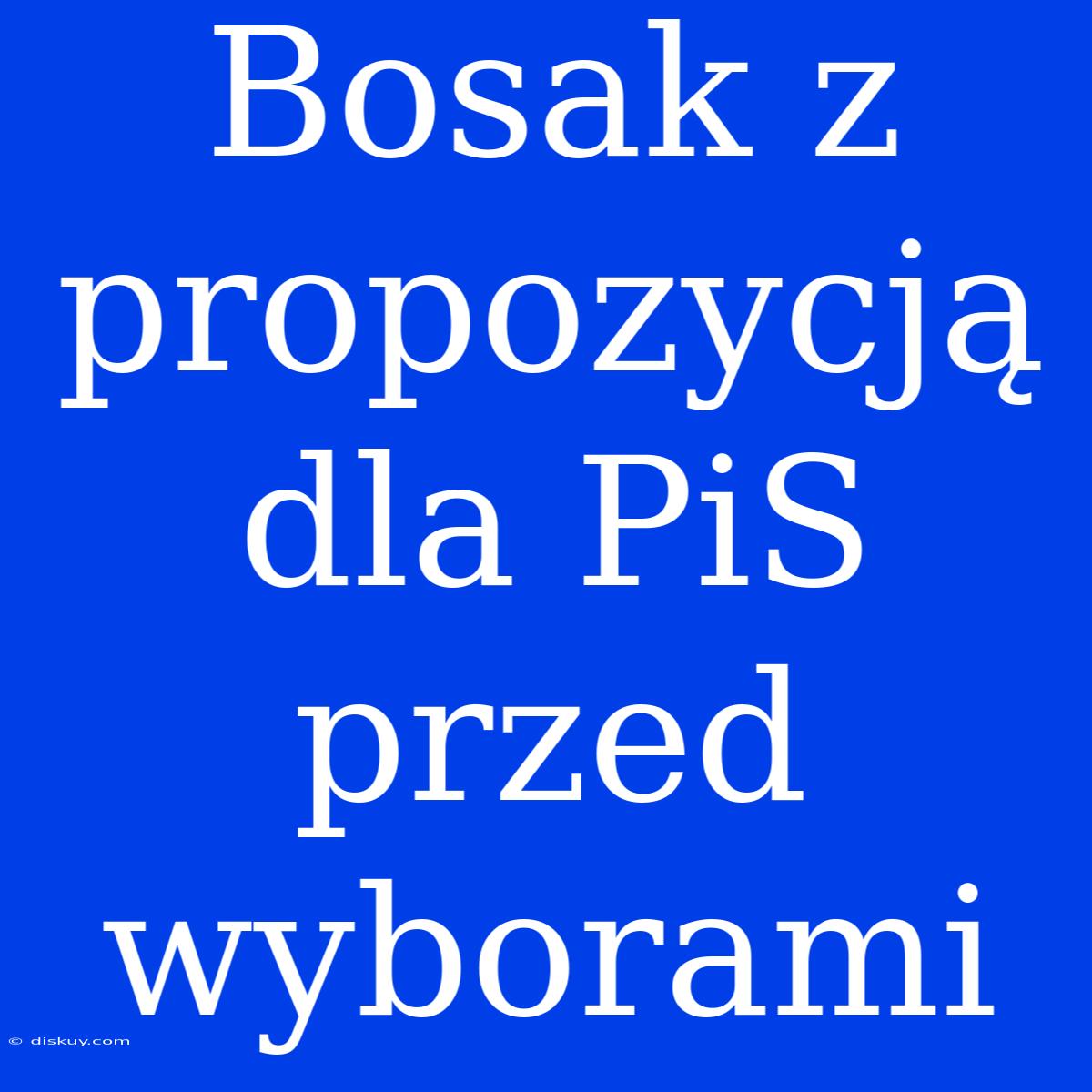 Bosak Z Propozycją Dla PiS Przed Wyborami