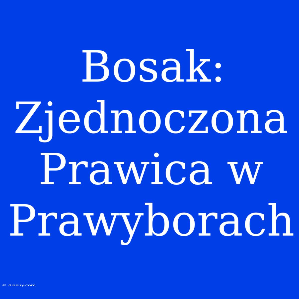 Bosak: Zjednoczona Prawica W Prawyborach