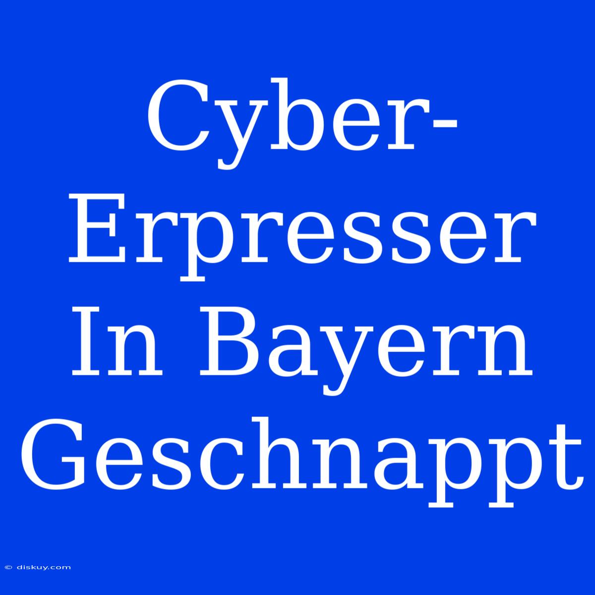 Cyber-Erpresser In Bayern Geschnappt