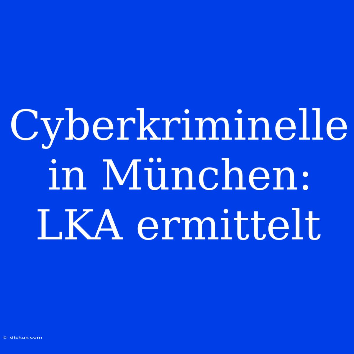 Cyberkriminelle In München: LKA Ermittelt