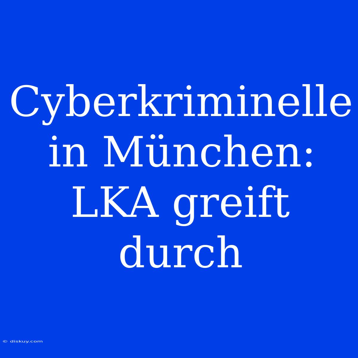 Cyberkriminelle In München: LKA Greift Durch