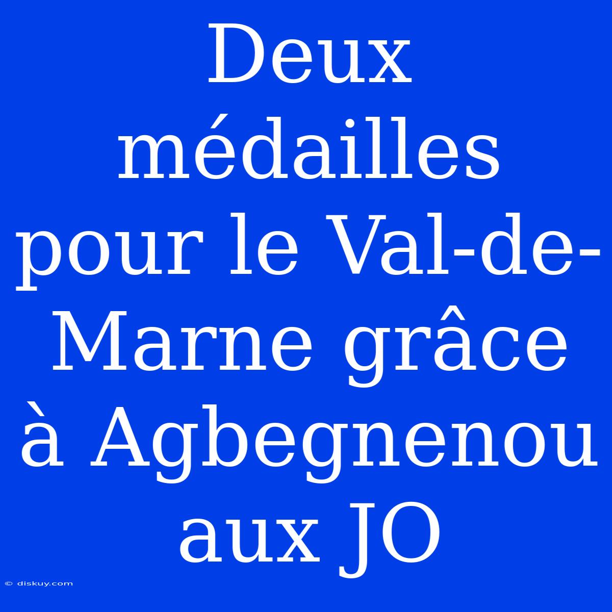 Deux Médailles Pour Le Val-de-Marne Grâce À Agbegnenou Aux JO