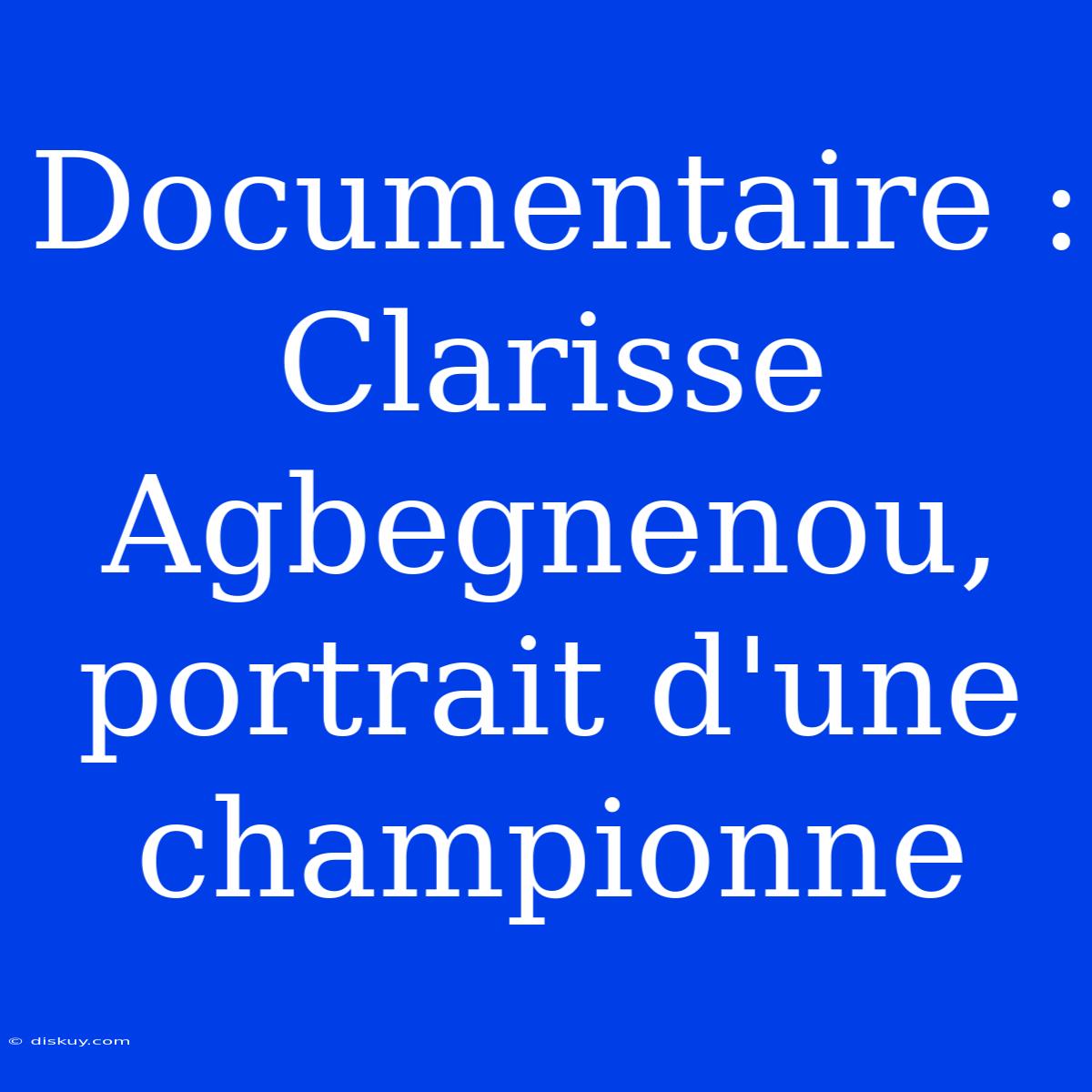 Documentaire : Clarisse Agbegnenou, Portrait D'une Championne