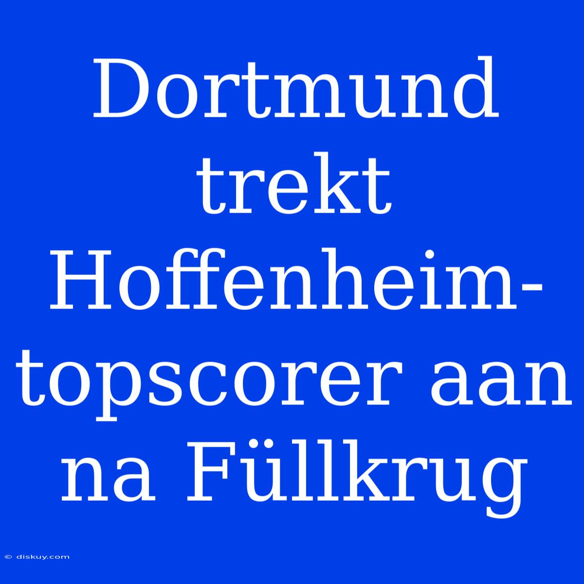 Dortmund Trekt Hoffenheim-topscorer Aan Na Füllkrug