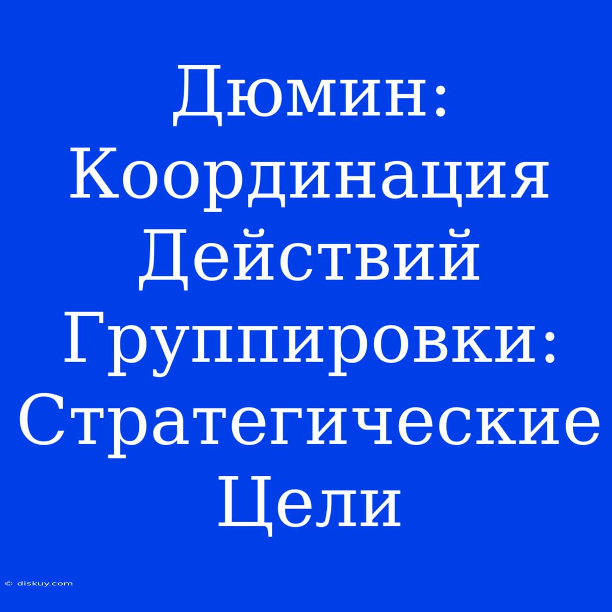 Дюмин: Координация Действий Группировки: Стратегические Цели