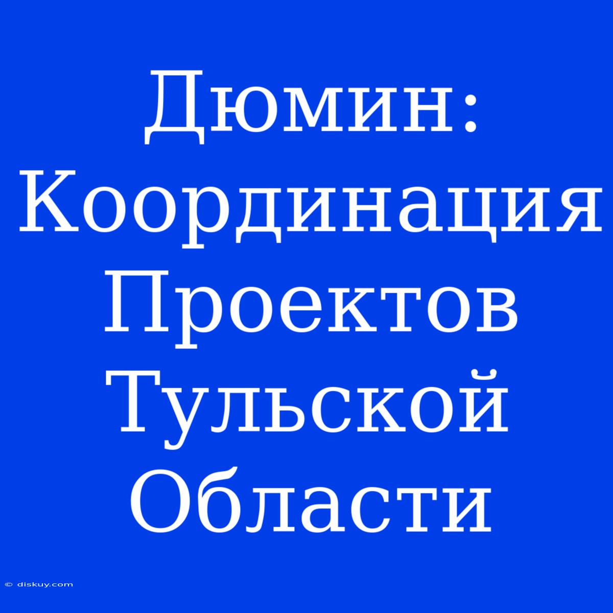 Дюмин: Координация Проектов Тульской Области