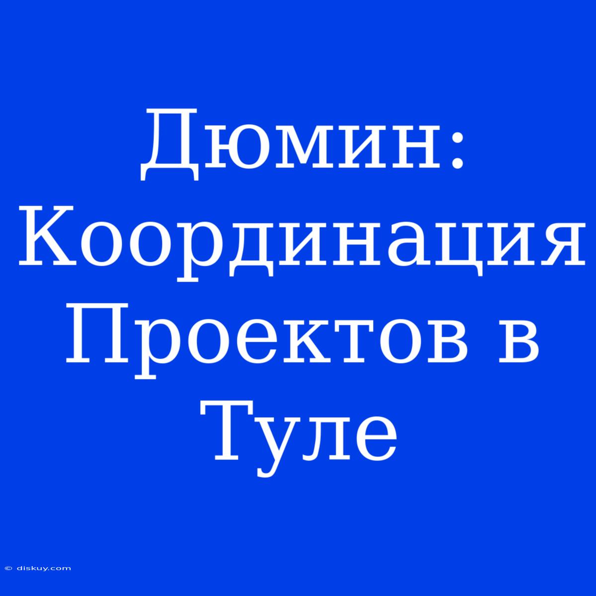 Дюмин: Координация Проектов В Туле