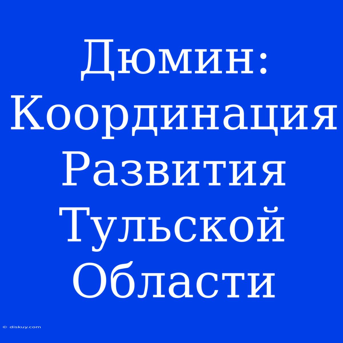 Дюмин: Координация Развития Тульской Области