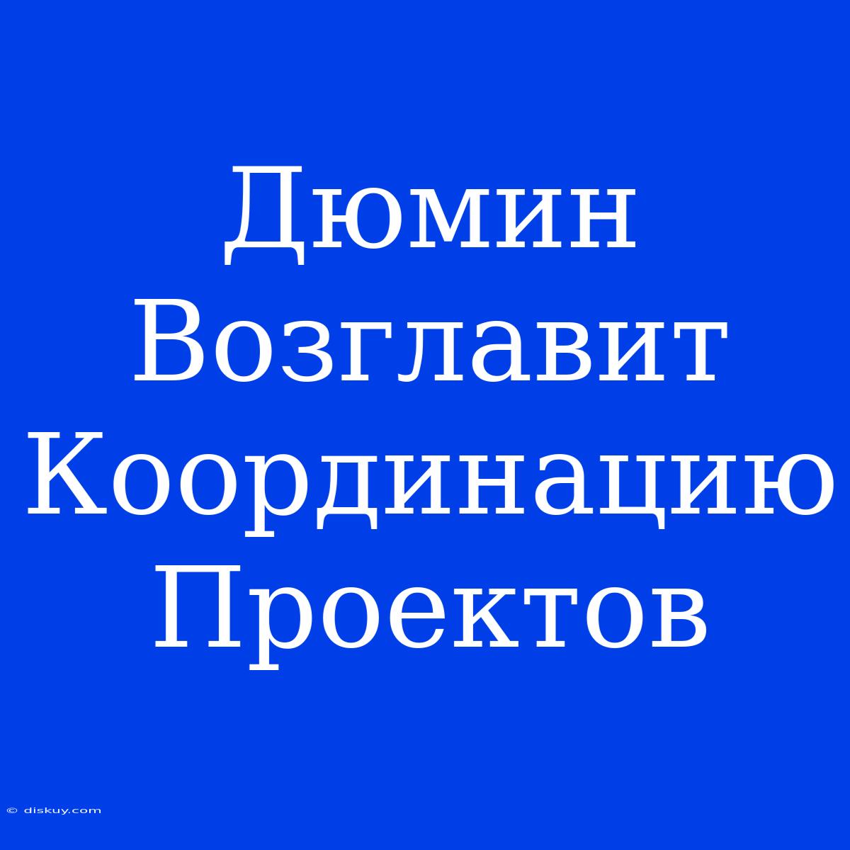 Дюмин Возглавит Координацию Проектов