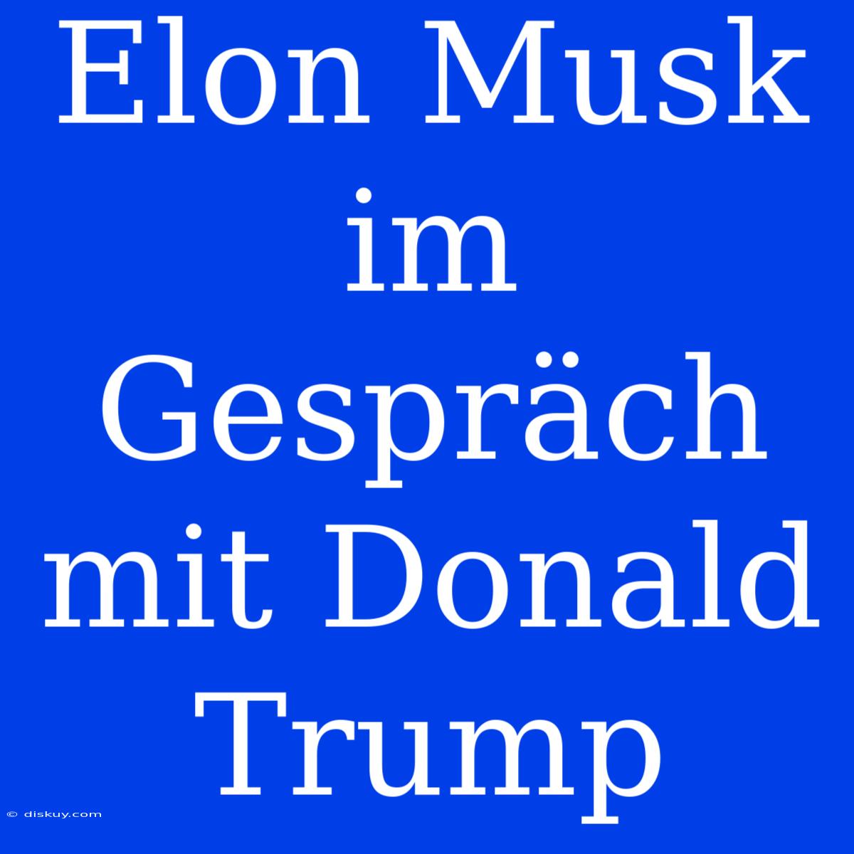 Elon Musk Im Gespräch Mit Donald Trump