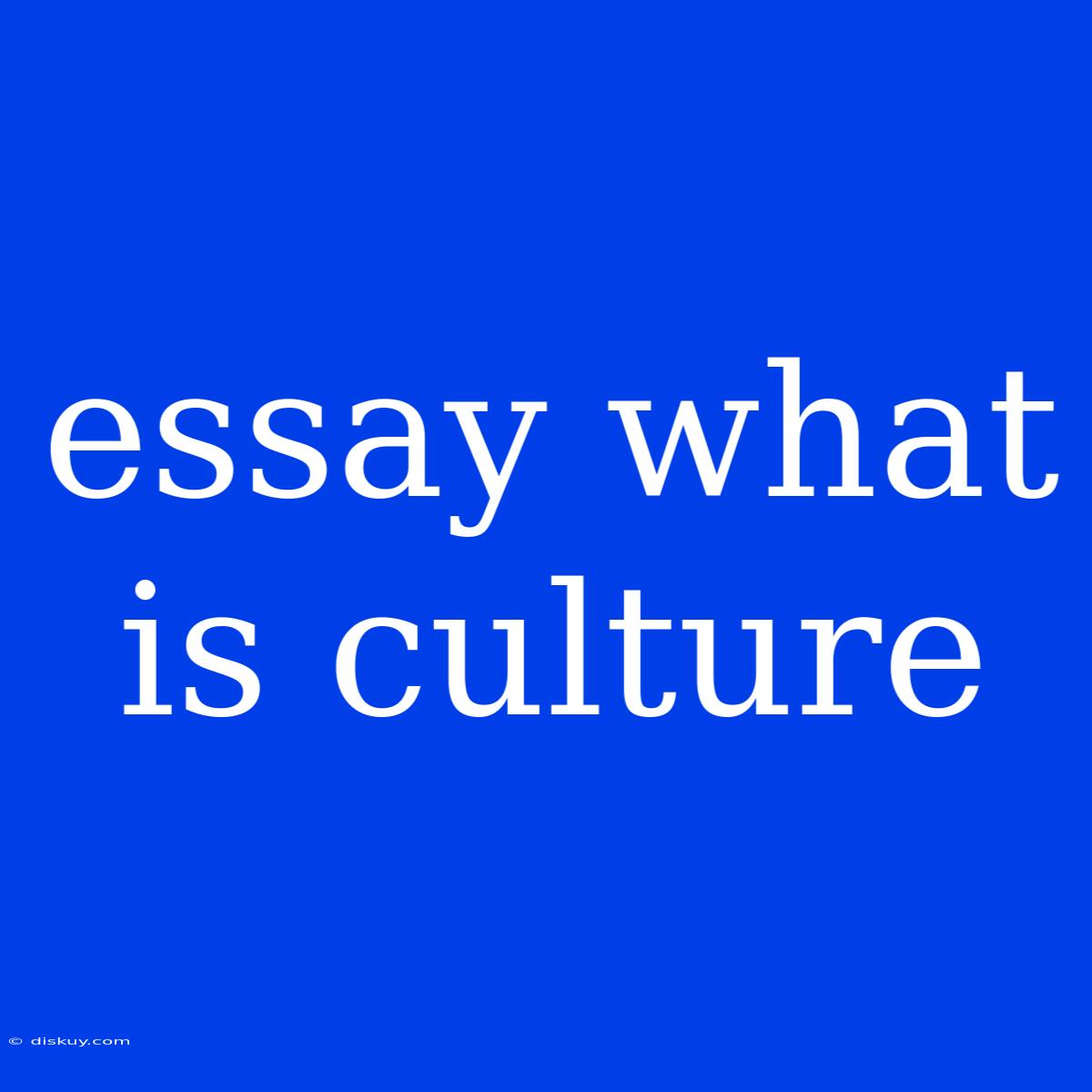 Essay What Is Culture