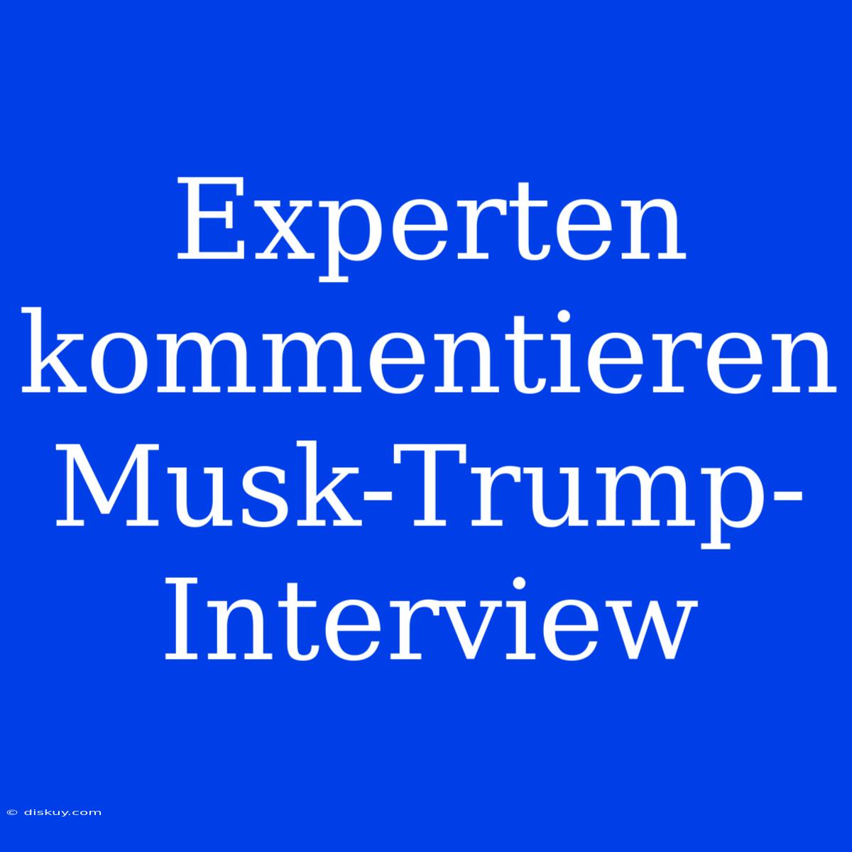 Experten Kommentieren Musk-Trump-Interview