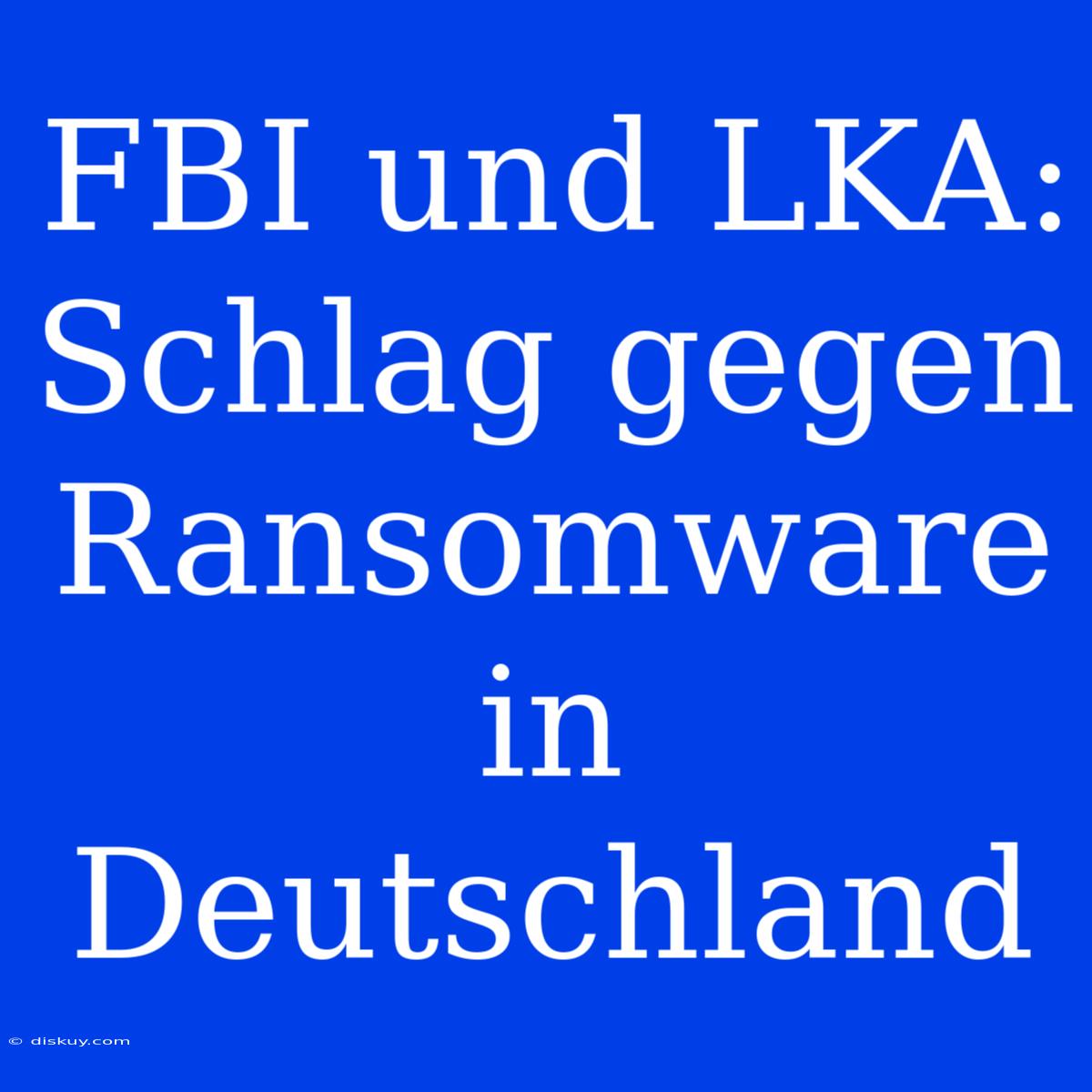 FBI Und LKA: Schlag Gegen Ransomware In Deutschland