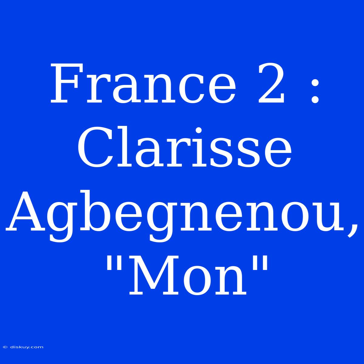 France 2 : Clarisse Agbegnenou, 