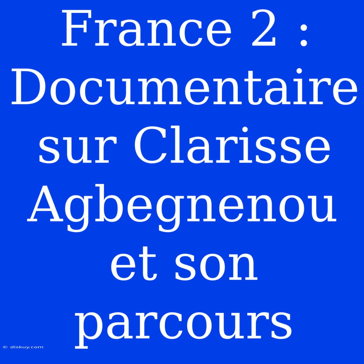 France 2 : Documentaire Sur Clarisse Agbegnenou Et Son Parcours