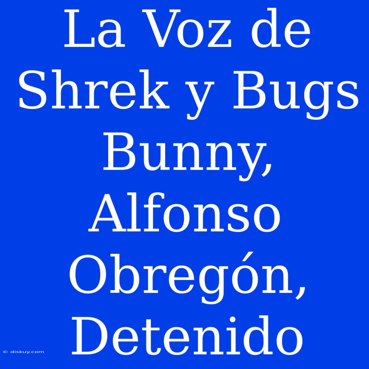 La Voz De Shrek Y Bugs Bunny, Alfonso Obregón, Detenido