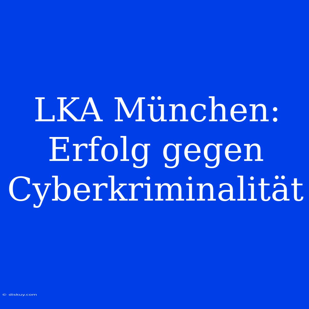 LKA München: Erfolg Gegen Cyberkriminalität