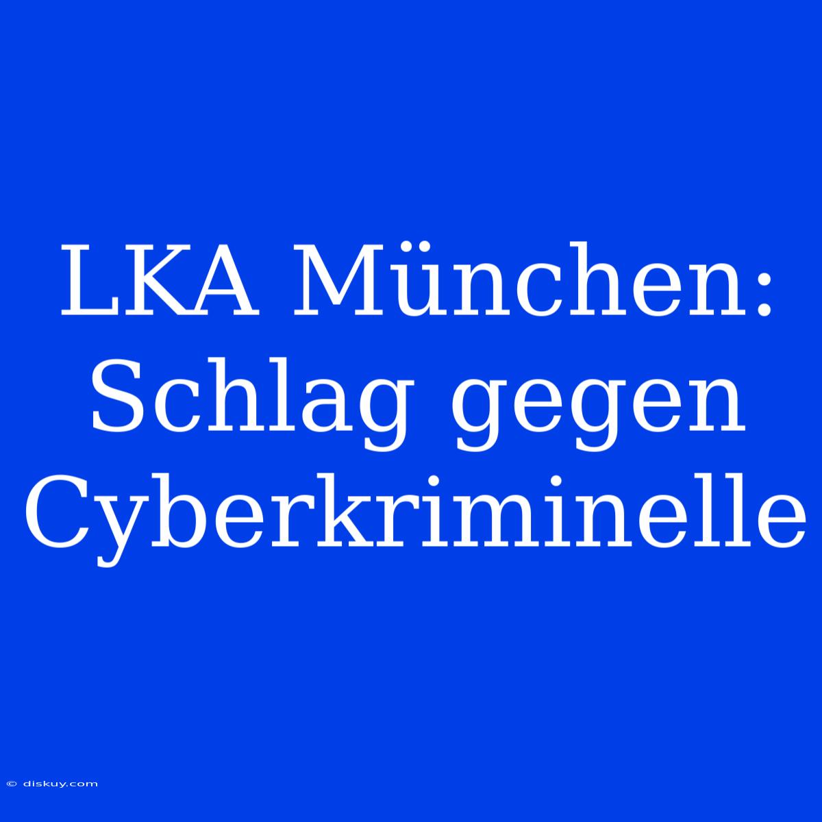 LKA München: Schlag Gegen Cyberkriminelle