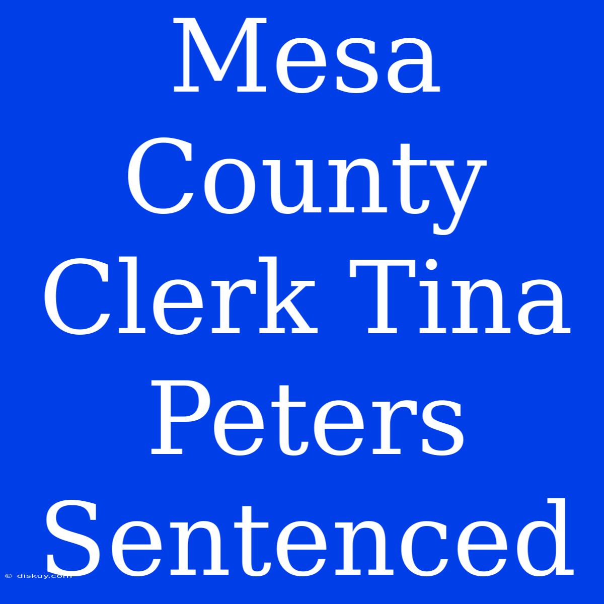 Mesa County Clerk Tina Peters Sentenced