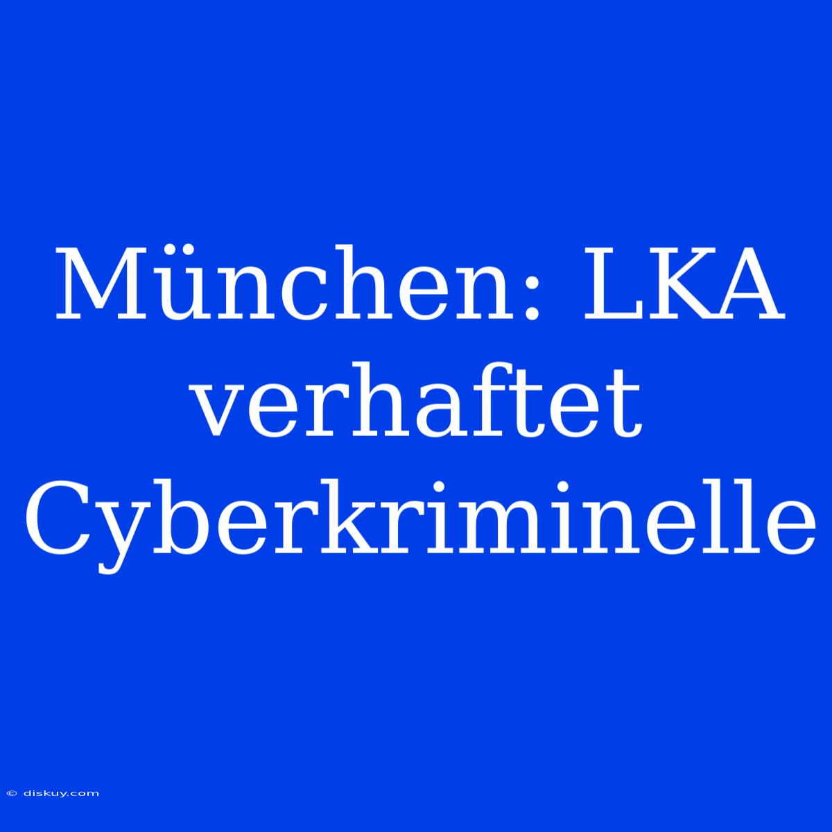 München: LKA Verhaftet Cyberkriminelle