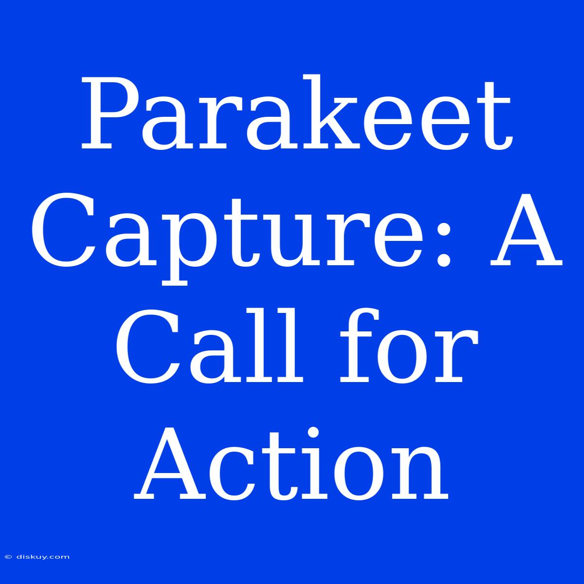 Parakeet Capture: A Call For Action