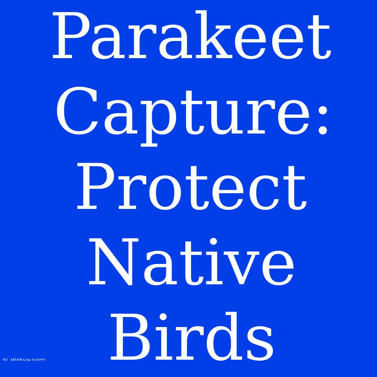 Parakeet Capture: Protect Native Birds