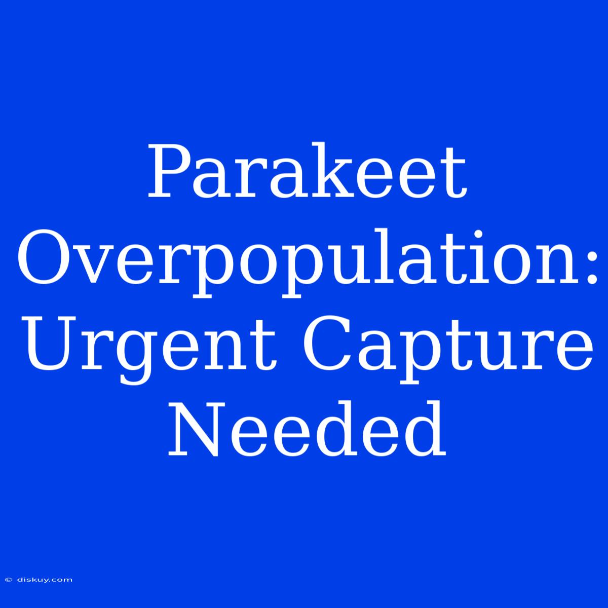 Parakeet Overpopulation: Urgent Capture Needed