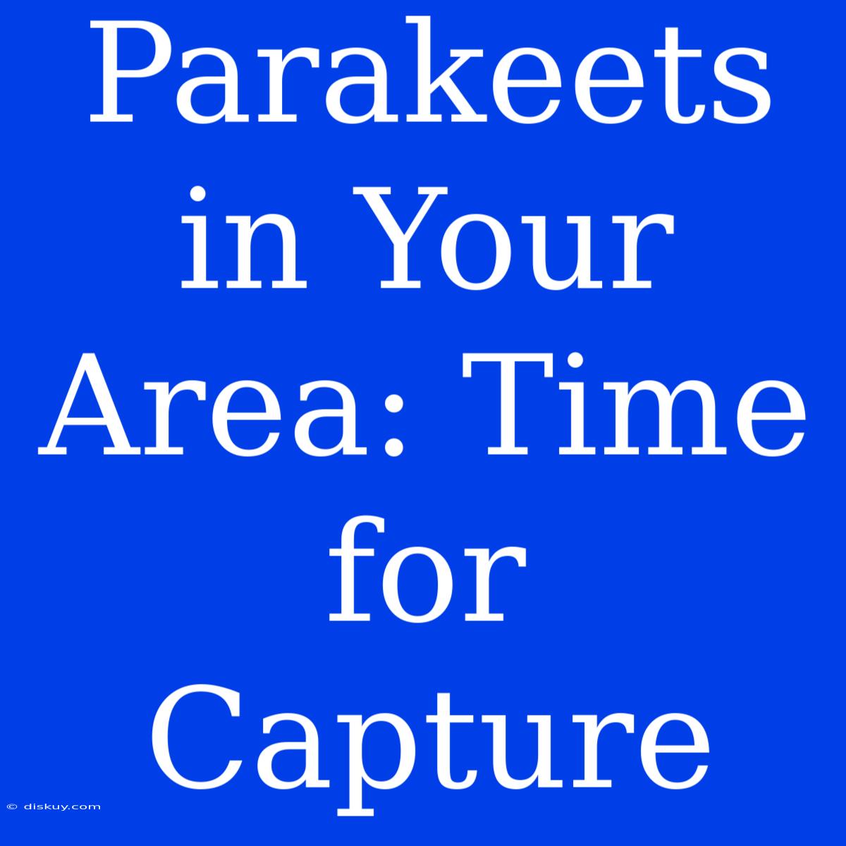 Parakeets In Your Area: Time For Capture