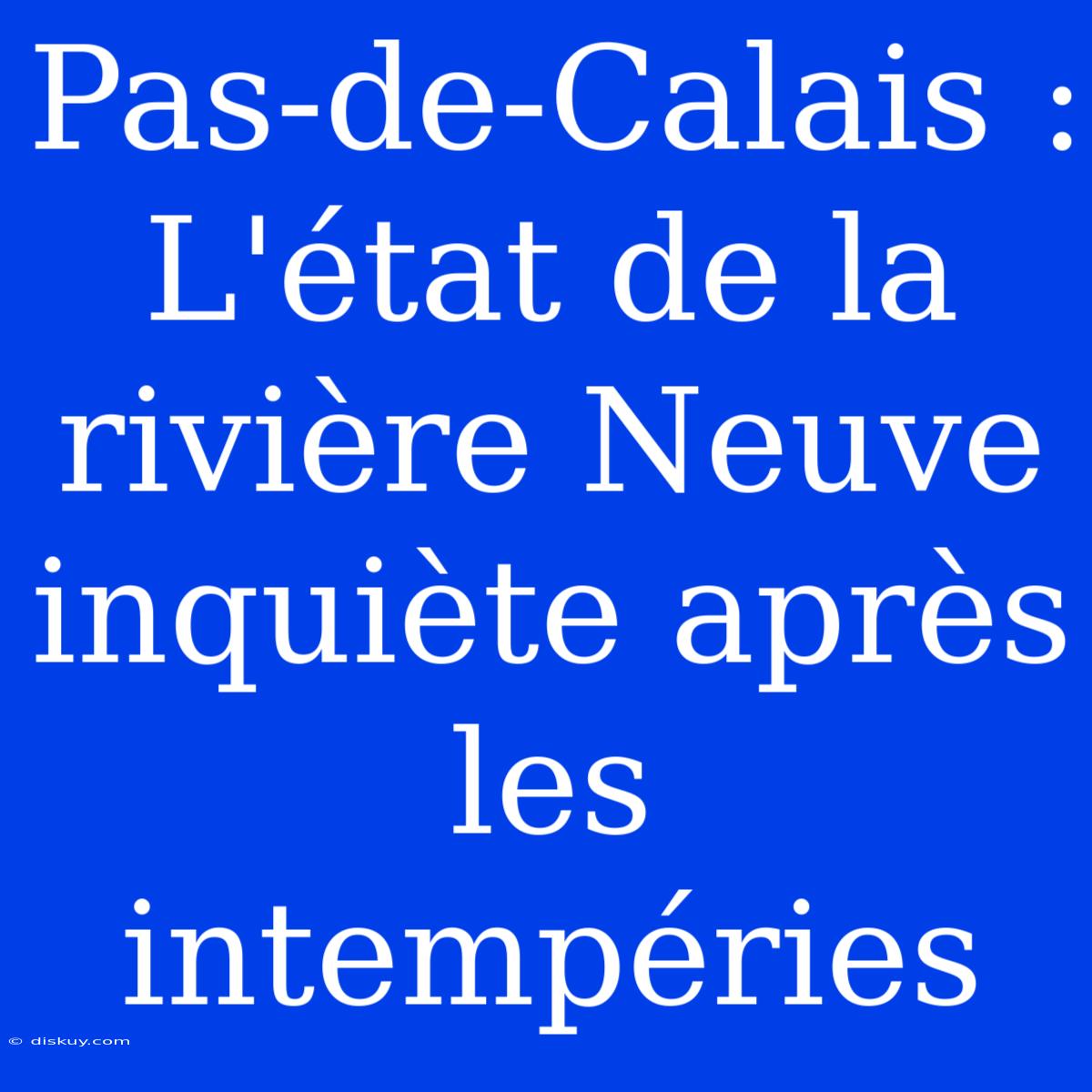 Pas-de-Calais : L'état De La Rivière Neuve Inquiète Après Les Intempéries