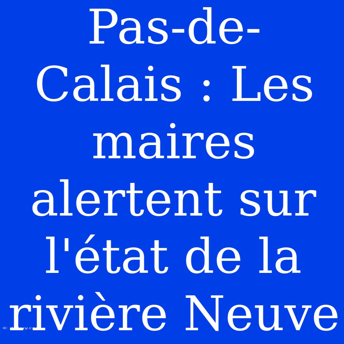 Pas-de-Calais : Les Maires Alertent Sur L'état De La Rivière Neuve