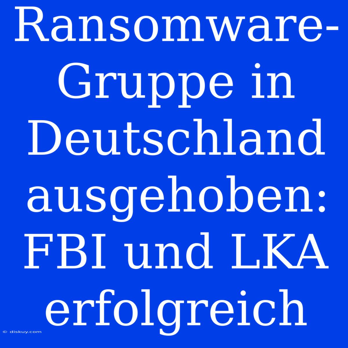 Ransomware-Gruppe In Deutschland Ausgehoben: FBI Und LKA Erfolgreich