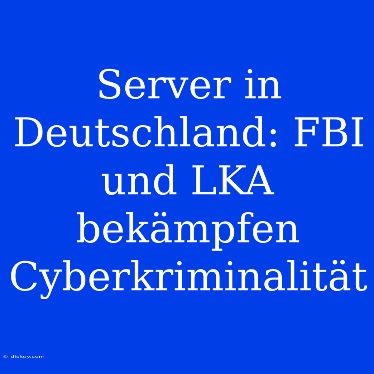 Server In Deutschland: FBI Und LKA Bekämpfen Cyberkriminalität