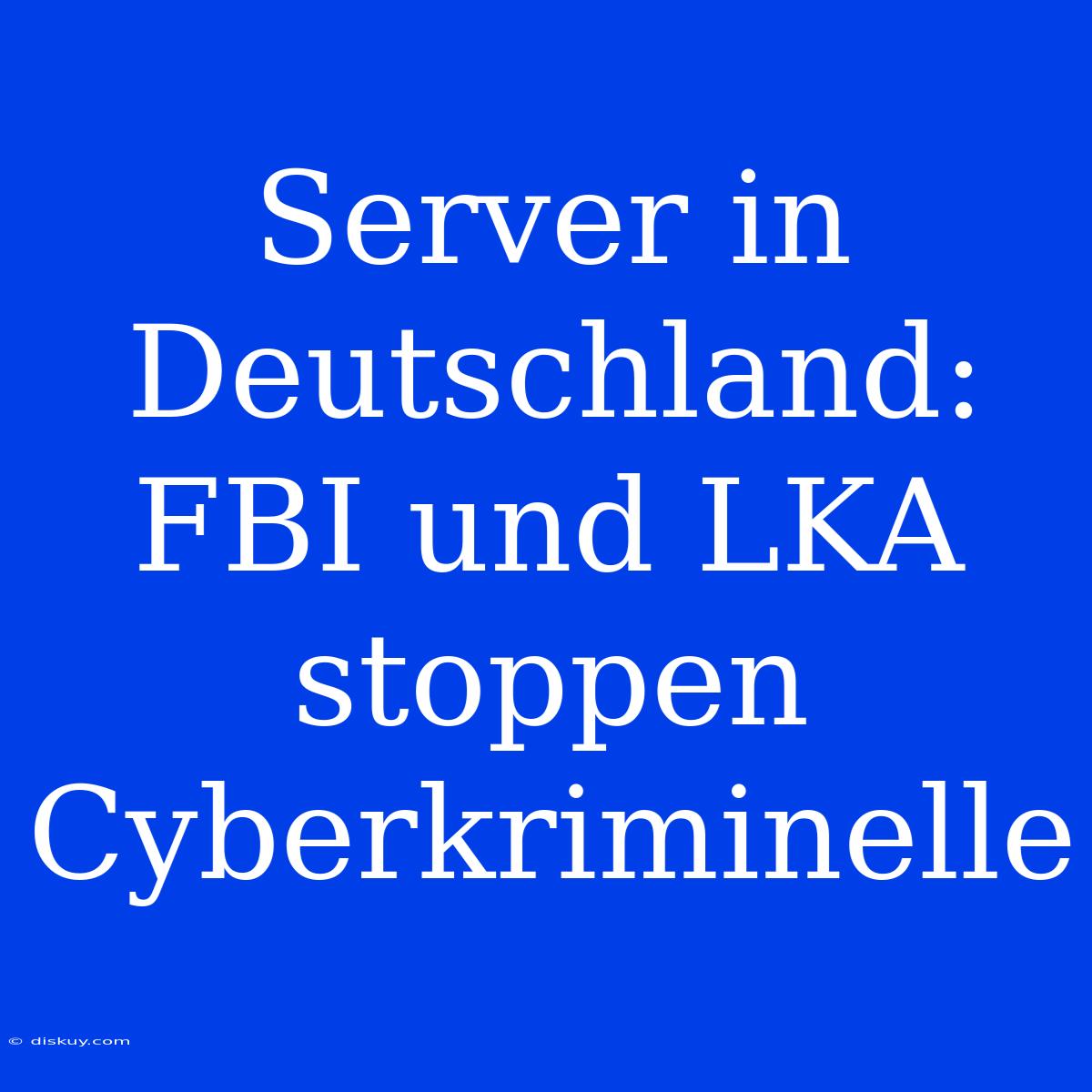 Server In Deutschland: FBI Und LKA Stoppen Cyberkriminelle