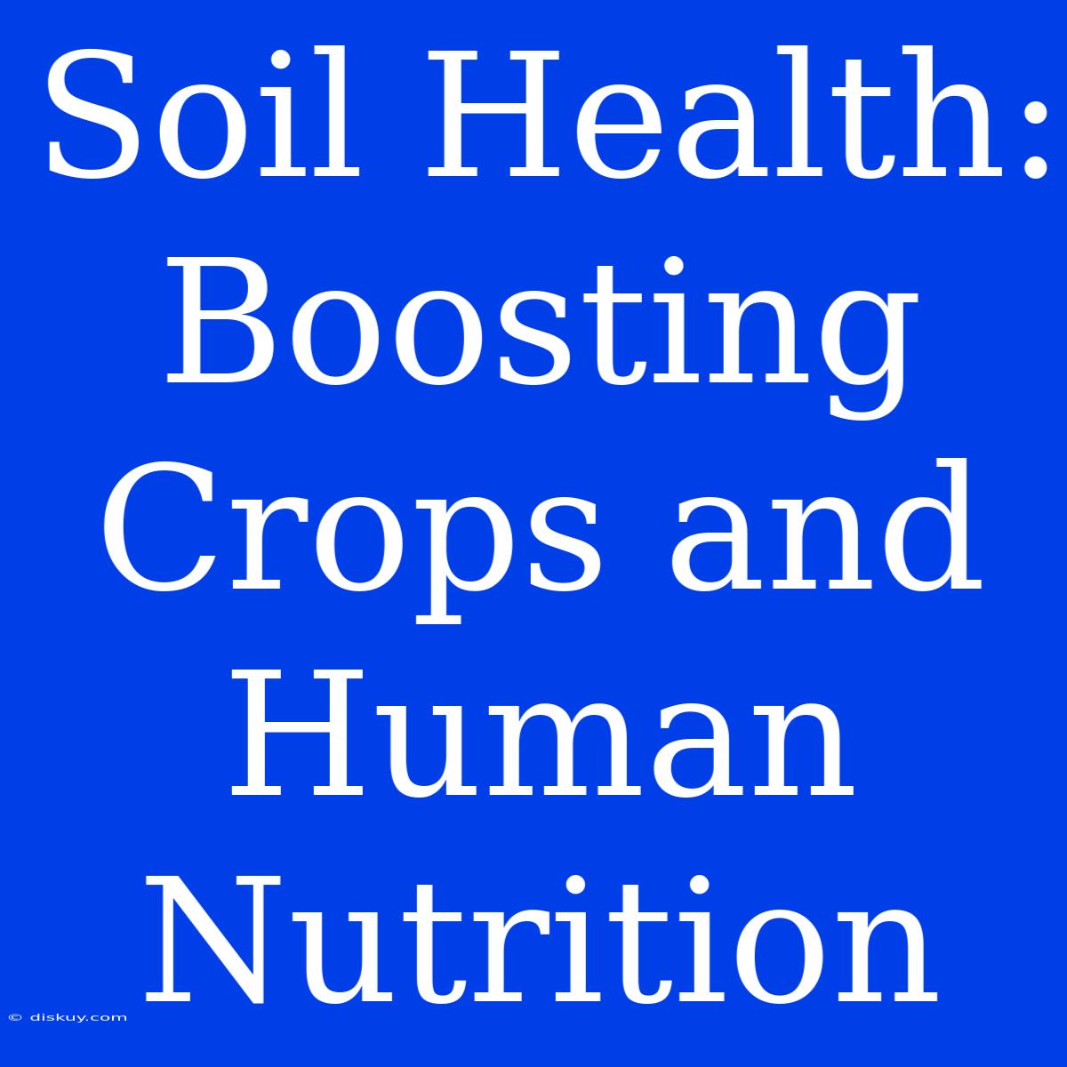 Soil Health: Boosting Crops And Human Nutrition