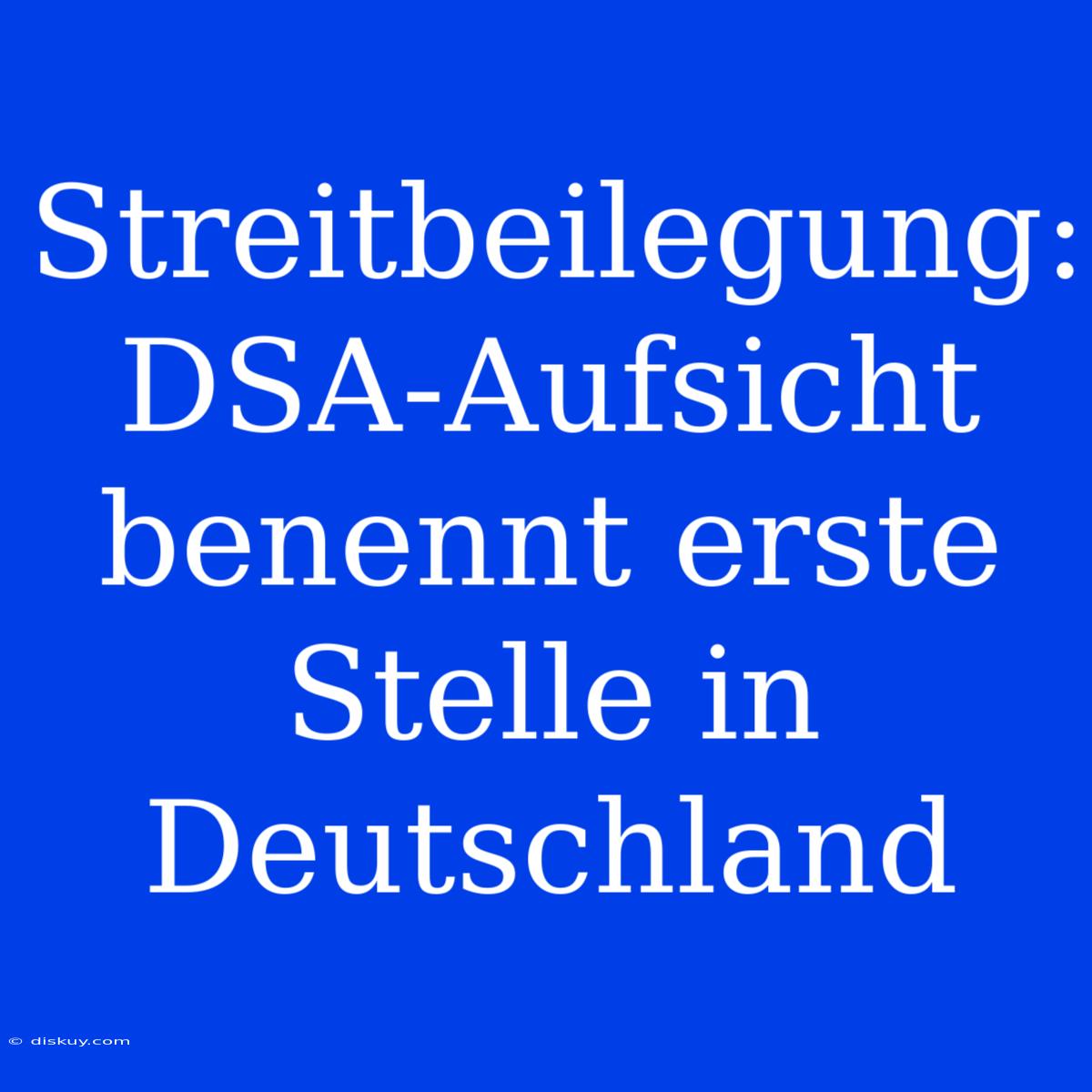 Streitbeilegung: DSA-Aufsicht Benennt Erste Stelle In Deutschland