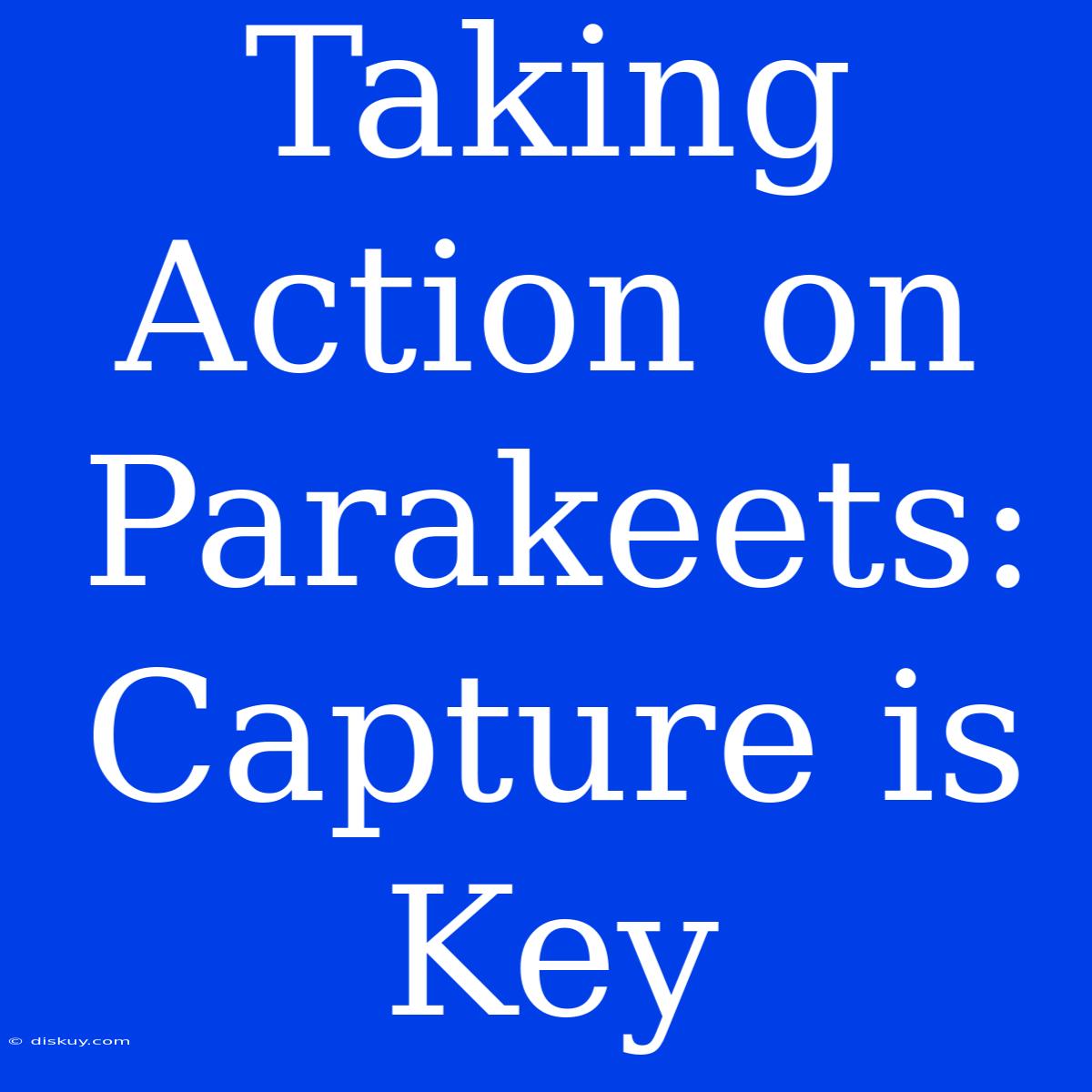 Taking Action On Parakeets: Capture Is Key