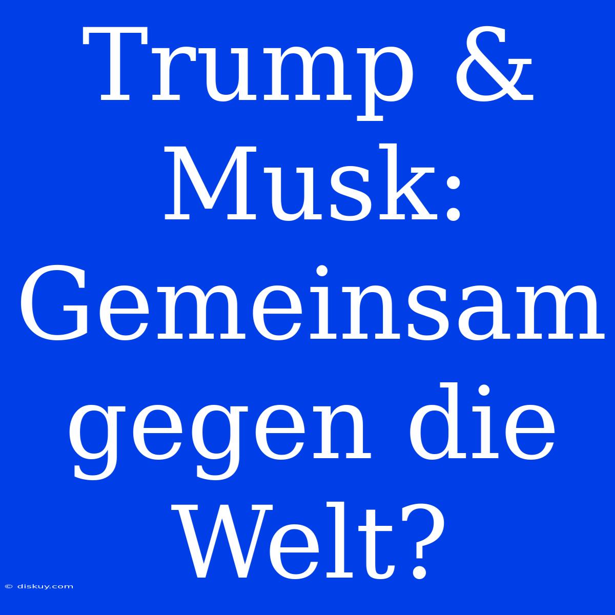 Trump & Musk: Gemeinsam Gegen Die Welt?