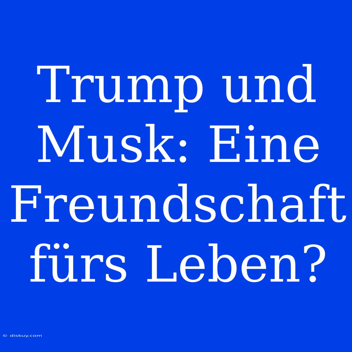 Trump Und Musk: Eine Freundschaft Fürs Leben?