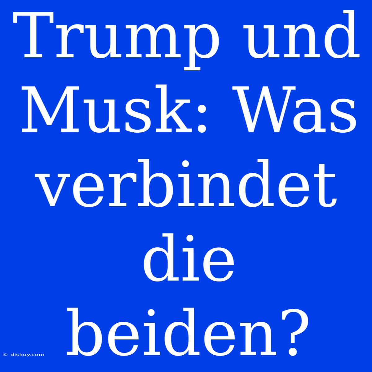 Trump Und Musk: Was Verbindet Die Beiden?