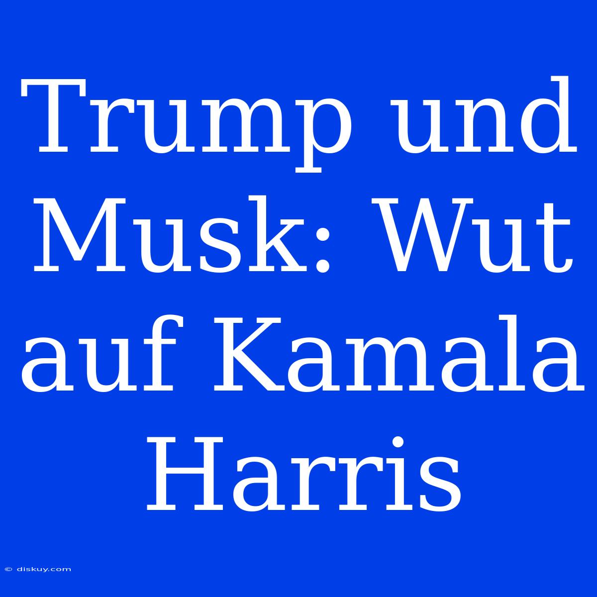 Trump Und Musk: Wut Auf Kamala Harris